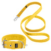 Active Set Amarillo - Collar y correa Active