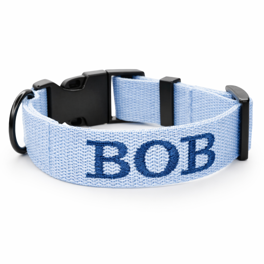 Dog collar with name, 2.5cm wide
