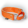 Martingale Orange - Wide lined collar half choke