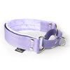 Martingale Baby Purple - Wide lined half choke collar