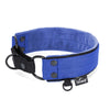 Martingale Black Edition Blue - Wide lined collar half choke