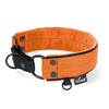 Martingale Black Edition Orange - Wide lined collar half choke