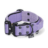 Extreme Buckle Black Edition Baby Purple - Strong and secure collar