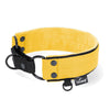 Martingale Black Edition Yellow - Wide lined collar half choke