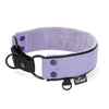 Martingale Black Edition Baby Purple - Wide lined collar half choke