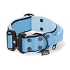 Extreme Buckle Black Edition Baby Blue - Strong and secure collar