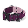 Extreme Buckle Black Edition Plum - Strong and secure collar