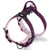 Easy Walk Black Edition Plum - Harness with handle