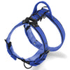 Easy Walk Black Edition Blue - Harness with handle