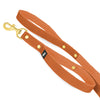 Guard Leash Golden Edition Burnt Orange - Guard leash with extra handle