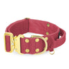 Extreme Gold Buckle Raspberry Red - Strong and secure collar