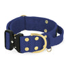 Extreme Buckle Golden Navy Blue - Strong and secure collar