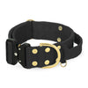 Extreme Buckle Golden Black - Strong and secure collar