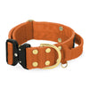 Extreme Buckle Golden Burnt Orange - Strong and secure collar