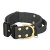 Extreme Buckle Golden Dark Grey - Strong and secure collar