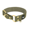 Martingale Golden Khaki - Wide lined half choke collar