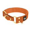 Martingale Golden Burnt Orange - Wide lined half choke collar