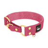 Martingale Golden Raspberry Red - Wide lined collar half choke