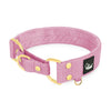 Martingale Golden Candy Pink - Wide lined half choker collar