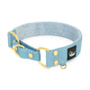 Martingale Golden Baby Blue - Wide lined collar half choke