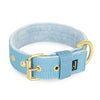 Active Golden Baby Blue - Wide durable necklace with buckle