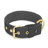 Active Golden Dark Grey - Wide durable necklace with buckle