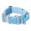 Extreme Silver Buckle Baby Blue - Strong and secure collar