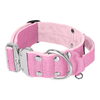 Extreme Silver Buckle Baby Pink - Strong and secure collar