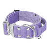 Extreme Silver Buckle Baby Purple - Strong and secure collar