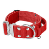 Extreme Silver Buckle Red - Strong and secure collar