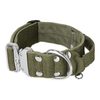 Extreme Silver Buckle Khaki - Strong and secure collar