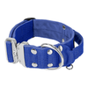 Extreme Silver Buckle Blue - Strong and secure collar