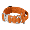 Extreme Silver Buckle Orange - Strong and secure collar