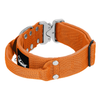 Extreme Silver Buckle Orange - Strong and secure collar