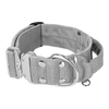 Extreme Silver Buckle Grey - Strong and secure collar