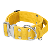 Extreme Silver Buckle Yellow - Strong and secure collar