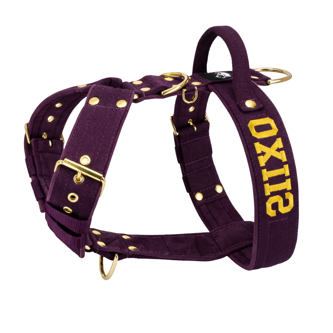 Dog harness with name