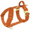 Easy Walk Extreme Gold Buckle Burnt Orange - Harness with quick release buckle