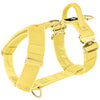 Easy Walk Extreme Gold Buckle Gold Yellow - Harness with quick release buckle