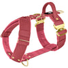 Easy Walk Extreme Gold Buckle Raspberry Red - Harness with quick release buckle