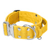 Extreme Silver Buckle Yellow - Strong and secure collar