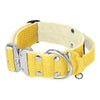Extreme Silver Buckle Baby Yellow - Strong and secure collar
