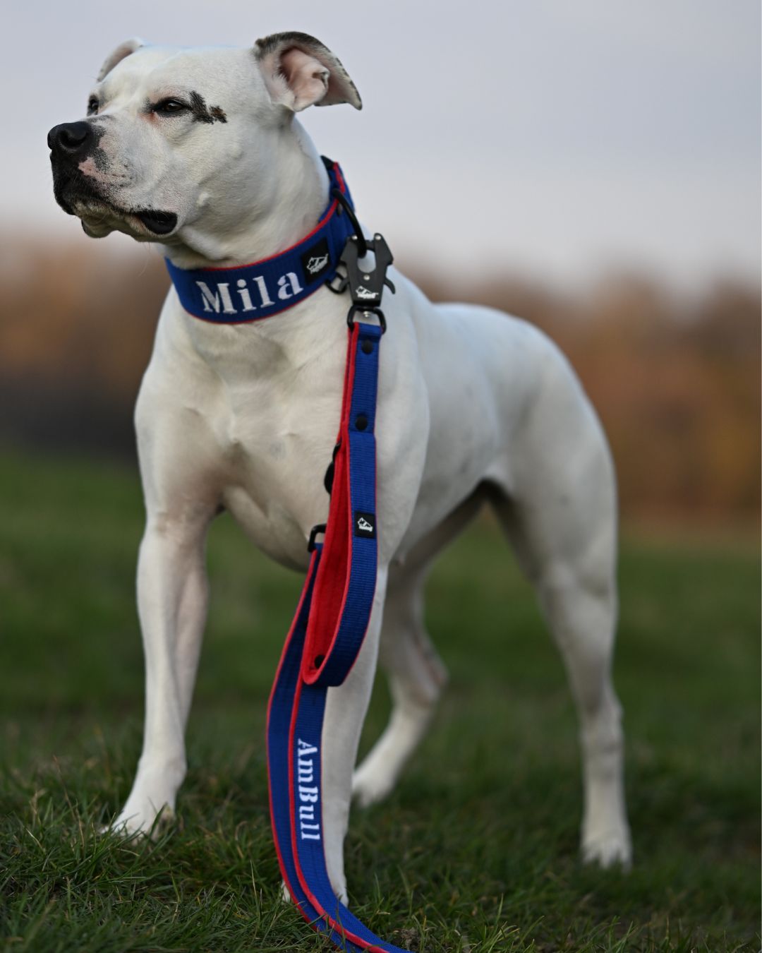 Multi-lead with name