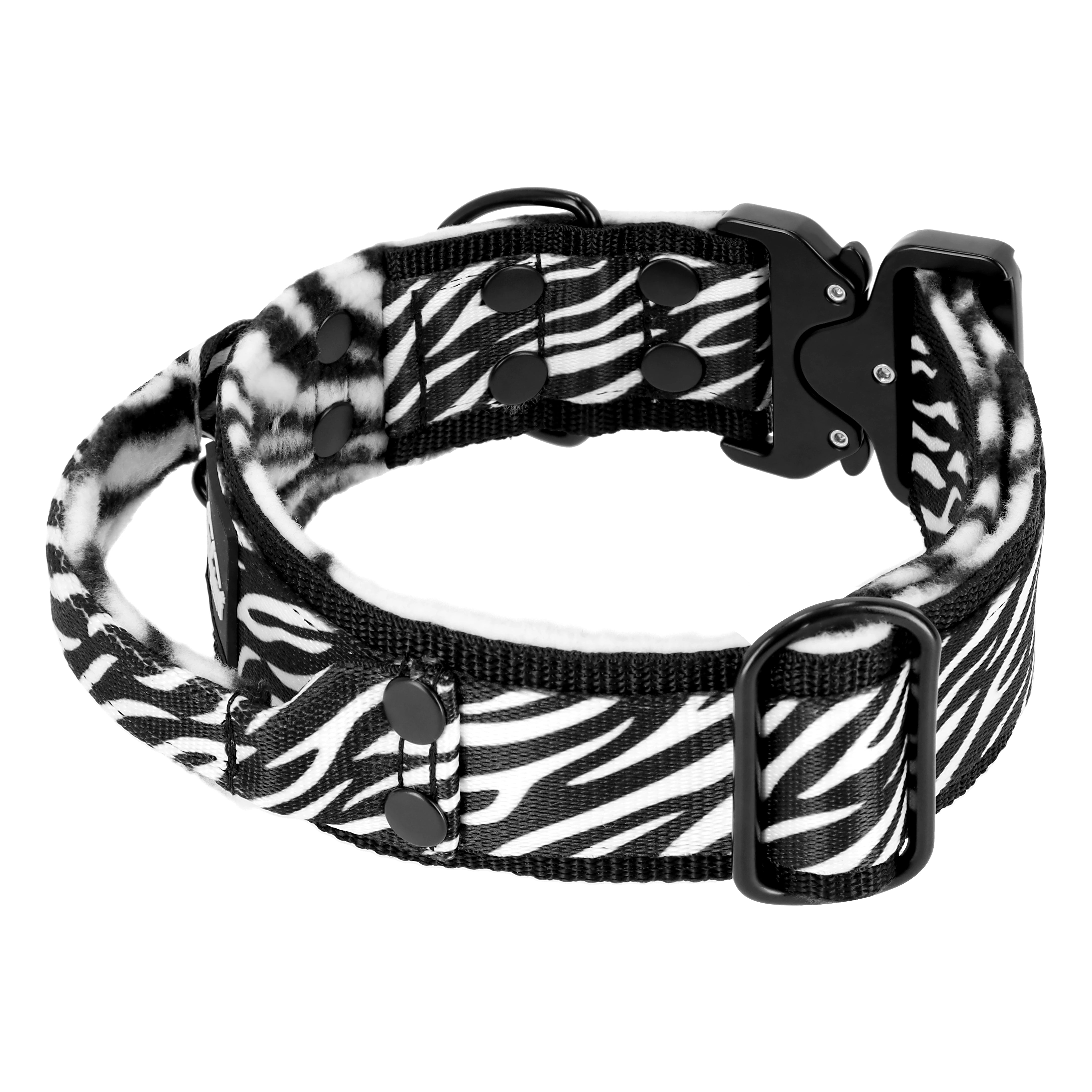 Extreme Buckle Leopard - Strong and secure dog collar