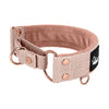 Martingale Rose Edition Pastel Beige - Wide lined half choker collar