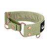 Martingale Rose Edition Olive Green - Wide lined half choke collar