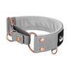 Martingale Rose Edition Grey - Wide lined half choke collar