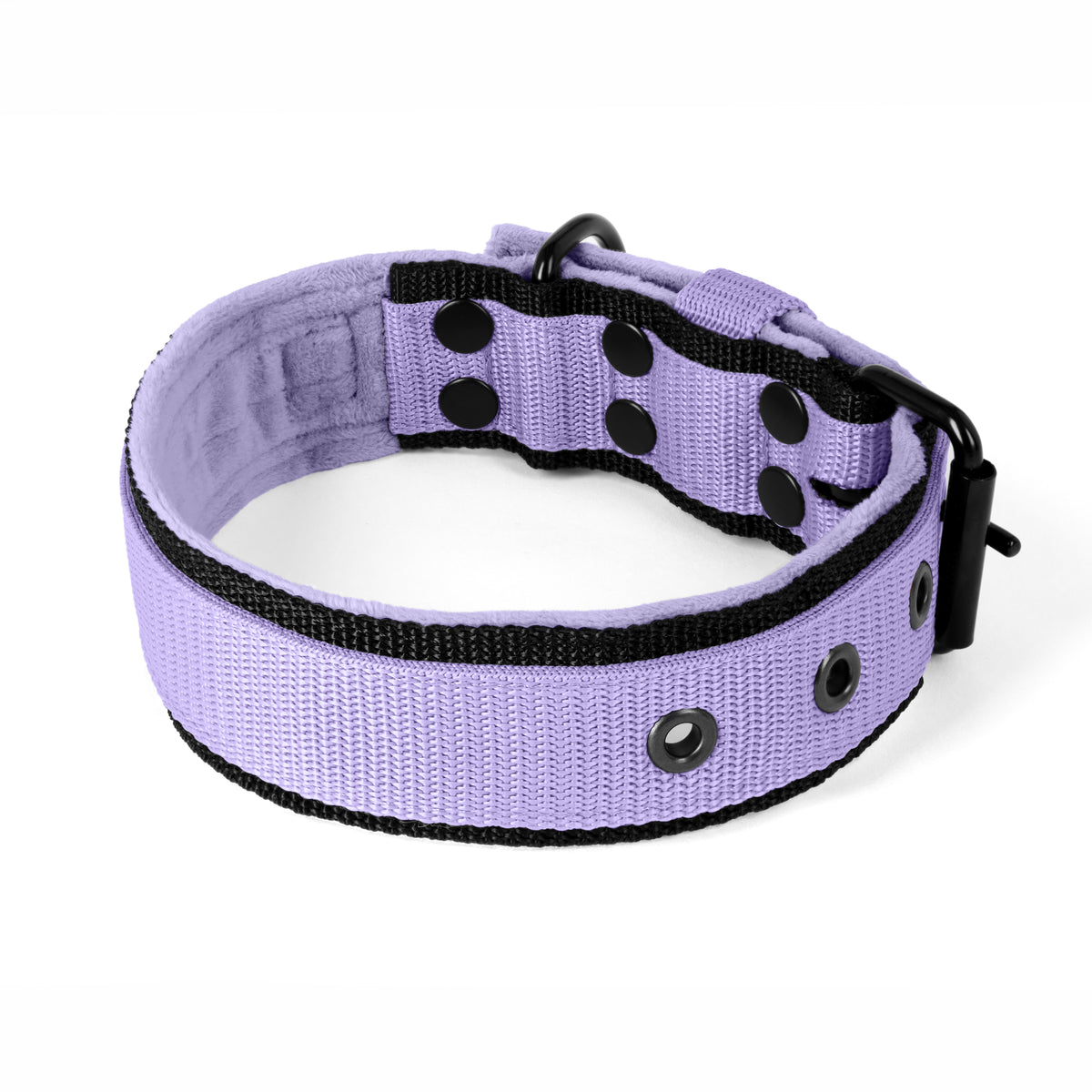 Active Komfort Black Edition Baby Purple - Brede duurzame kraag met gesp