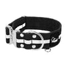 Extreme Silver Buckle Safe Black - Safe reflective collar