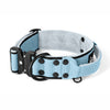 Extreme Buckle Black Edition Baby Blue - Strong and secure collar